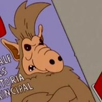 Bak_in_Pog_Form's profile picture. Everything is back! In Pog form.