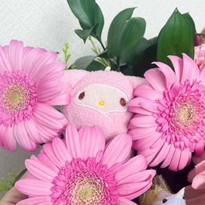 Midoriさんのプロフィール画像