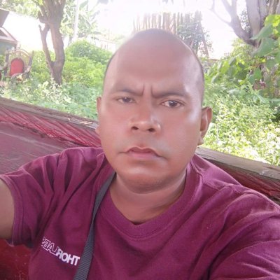 MemetSenti's profile picture. 