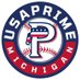 USA Prime Michigan Baseball & Softball (@USAPrimeMI) Twitter profile photo