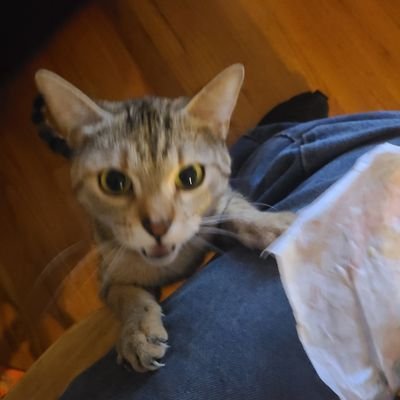 Rebeblican71's profile picture. 