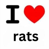 PatchRat (@patch_nap) 's Twitter Profile