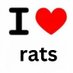 PatchRat (@Patch_Nap) Twitter profile photo PatchRat (@Patch_Nap) Twitter profile photo