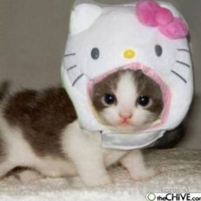 프ㄹさんのプロフィール画像