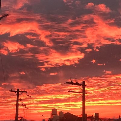 kazugadget's profile picture. 橋本脳症という病気と闘病中。高次脳機能障害で注意記憶障害と遂行機能障害有り。寛解と社会復帰を目指す50代。覚書として体調などを呟く闘病垢。一応、この垢はWoTBというゲーム用の垢 だったけど病気でほぼ休止中。主な所属クラン→【MLTJ】【-PuP-】【booN】　確か垢作成当初は本業の息抜きガジェット垢だった筈。