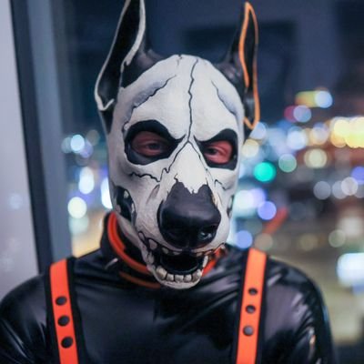 Switch, AD of AceFloof, BF of @PupTayo, SkullDog, Drone D-2308, Dragon, Fursuiter, Dog, Latex, BDSM and more
Other social accounts: https://t.co/EFlKySaCO2