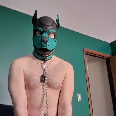 35 year old puppy with a dirty mind and likes to have fun and loves to cuddle.