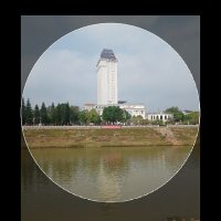 Minh Triệu (@tri42962356minh) 's Twitter Profile