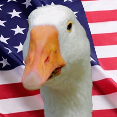 patriot • goose fluffer • father (in that order)