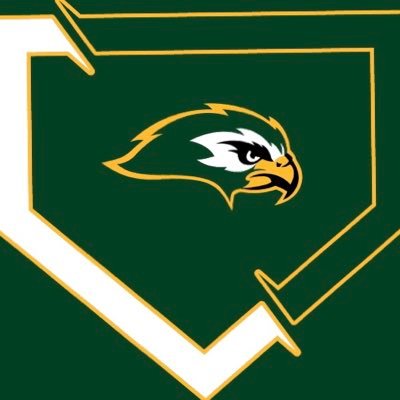 Official Twitter of Ben Lippen Falcons Baseball