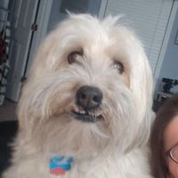 Kendall Hageman (@kendall_edu) 's Twitter Profile
