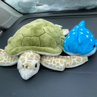 mokkunkamo's profile picture. バレー、ときどき考古学