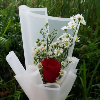 Mmrrrrra188's profile picture. 