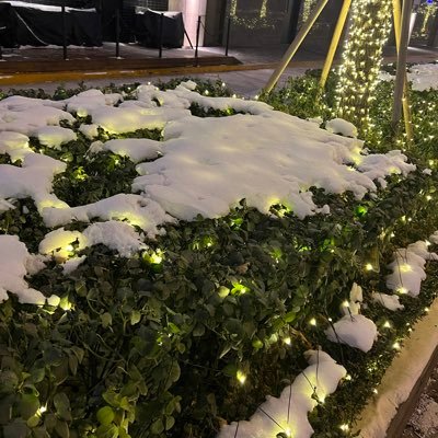 zong1998's profile picture. 遊戲