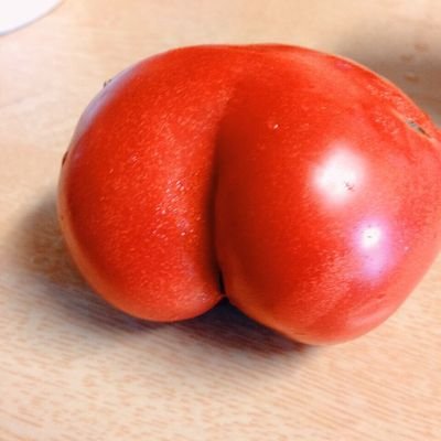 山トマトさんのプロフィール画像