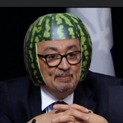 stelieu's profile picture. manspreading sarcasme     complotissss, Maga , Xrp, 51 States, GOLD shall destroy FED. fort Knox