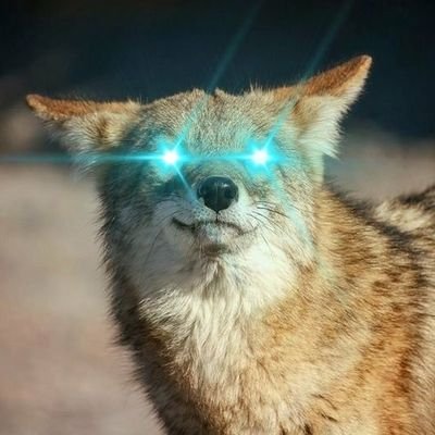 Grimmy_Coyote Profile Picture