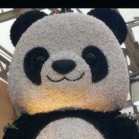 成(なる) (@mgnarunaru) 's Twitter Profile
