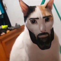 yakutz1 (@akurosasamiya) 's Twitter Profile