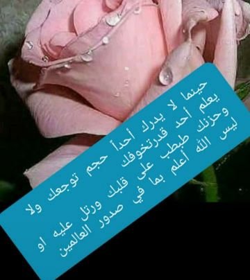 الدعوة السلفية منصورة إلى أن تقوم الساعة
