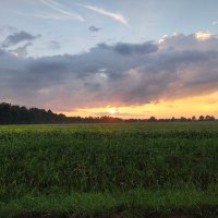 Trista Philips (@tristaphilips) 's Twitter Profile