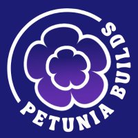 🤍 Petunia 🤍 (@petuniabuilds) 's Twitter Profile