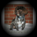 Jeanne Perrin - @JeannePerrin1 - Twitter