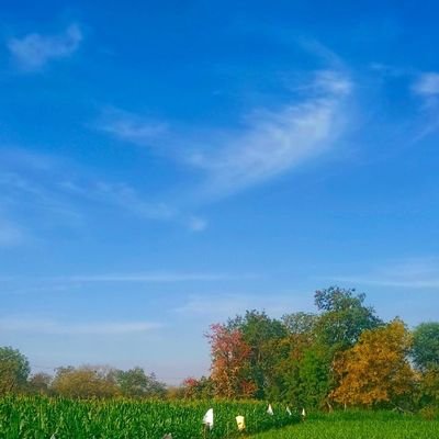 KaushikDamor7's profile picture. Food, Fashion & Lifestyle