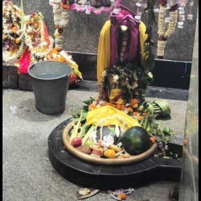 JanasevakS's profile picture. 