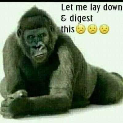 skotfri's profile picture. 