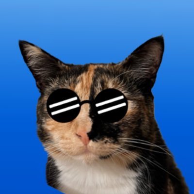 tylrrrmrrra's profile picture. HAFDEF