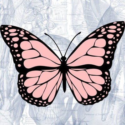 yourhalcyons's profile picture. medstud'23 | looking for medstud survivor fighter bismillah dulu