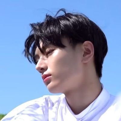 stan account | multifandom