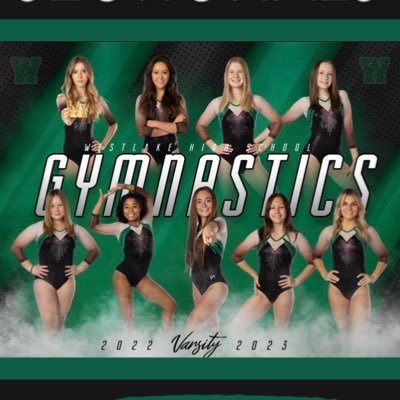 Official twitter account for the Westlake High School Gymnastics team! #godemons