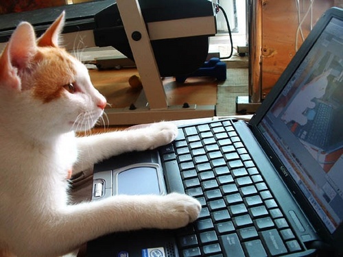 naviplay's profile picture. 사용설명서 읽기가 취미.