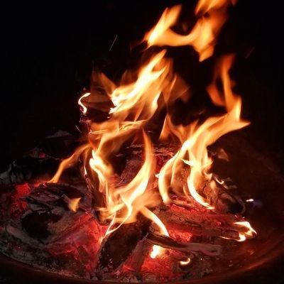 ♎️♍️Vedic Astrology Enthusiast, 12H stellium, animal lover, Passionate Gardener, Home Chef,Conspiracy theorist 😉
🇨🇦🇨🇦