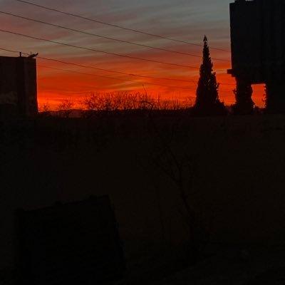 Mujtaba30734531's profile picture. месильщик