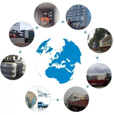 lisaliu26420884's profile picture. 