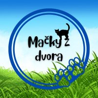 Mačky z Dvora 🇸🇰(@ozmackyzdvora) 's Twitter Profile Photo