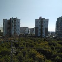 tek erkek (@raci89469083) Twitter profile photo