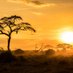 AFRICA MISTERIOSA (@africavss) Twitter profile photo AFRICA MISTERIOSA (@africavss) Twitter profile photo