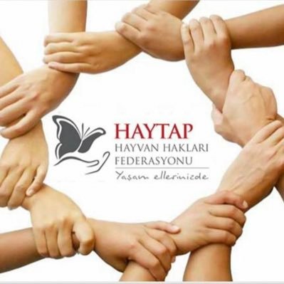 HaytapOfficial Profile Picture