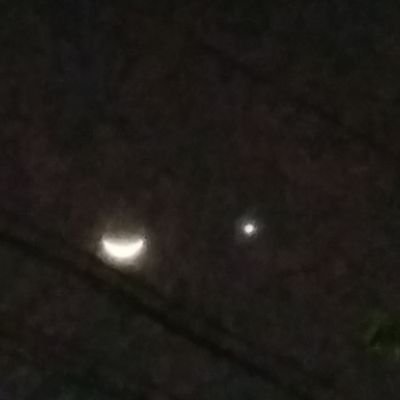 Catungal_C's profile picture. INTJ
but i listen to Chase Atlantic, The Weeknd,The Neigbhourhood and LANY