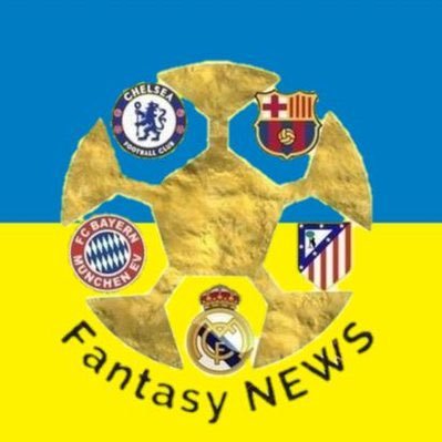 サッカーファンタジーニュース 【フィクション・空想】さんのプロフィール画像