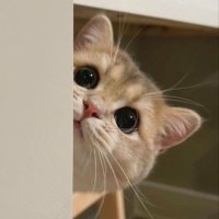 مٌنيره (@mangeera) Twitter profile photo