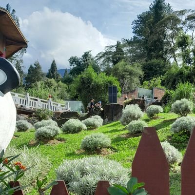 peyoo98's profile picture. to be a Profesor