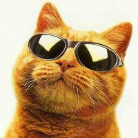 Alywn_DEFI (@alwyndefi) 's Twitter Profile