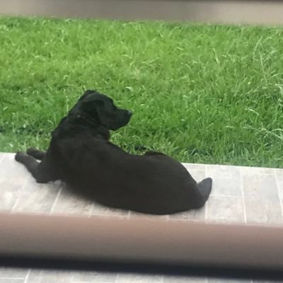 Tonie65144358's profile picture. 