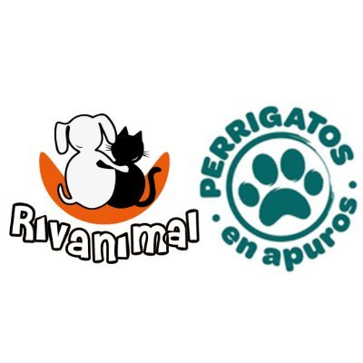 ASOCIACIÓN protección animal
eventos@rivanimal.org