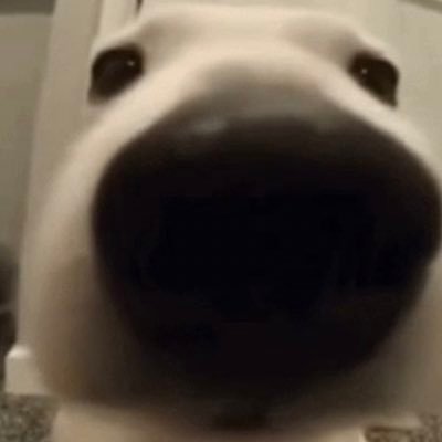 lime70303130's profile picture. $